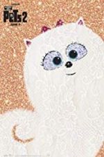 Super Gidget