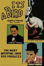 It\'s a Bird