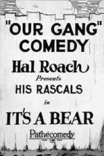 It\'s a Bear