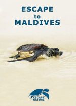 Escape to Maldives
