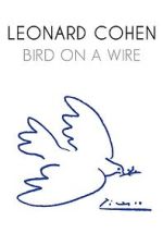 Bird on a Wire