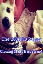 The £60,000 Puppy: Cloning Man's Best Friend