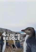 Wildlife Rescue New Zealand