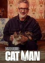 David Baddiel: Cat Man