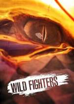 Wild Fighters
