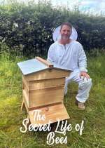The Secret Life of Bees
